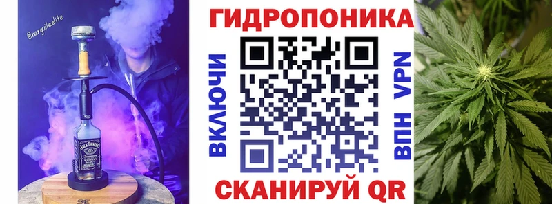 Купить наркотик Элиста Гашиш  Бошки Шишки  ГЕРОИН  МЕФ  СК 
