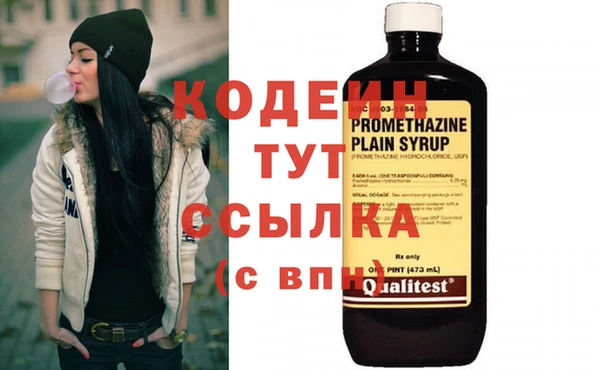 крисы Каменногорск