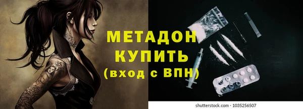 крисы Каменногорск