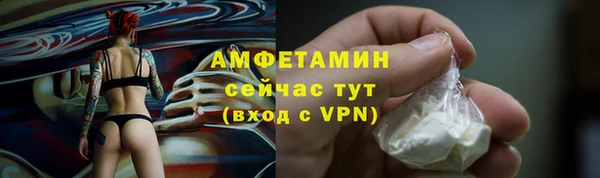 крисы Каменногорск
