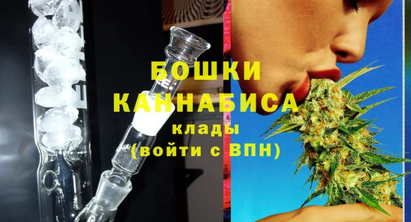 крисы Каменногорск