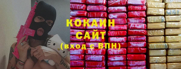 крисы Каменногорск