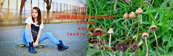 кокаин Каменка