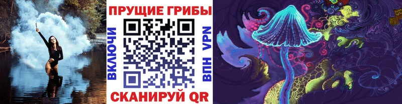 mega ссылка  Элиста  Галлюциногенные грибы Cubensis 